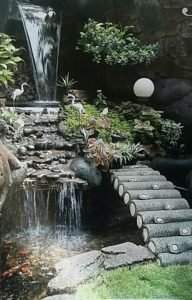 Tips Menguras Kolam Ikan