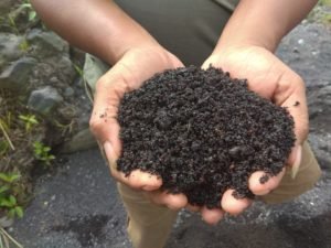 Jual Pasir Lumajang