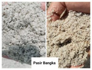 Jenis Pasir Pasang Pasir Bangka